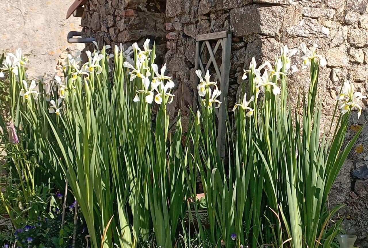 Charmant Gite A La Campagne, Proche Du Puy Du Fou, Les Charmes De Castellariis Pouzauges Bagian luar foto